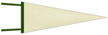 Load image into Gallery viewer, Cream / Green  Blank Pennant Flag
