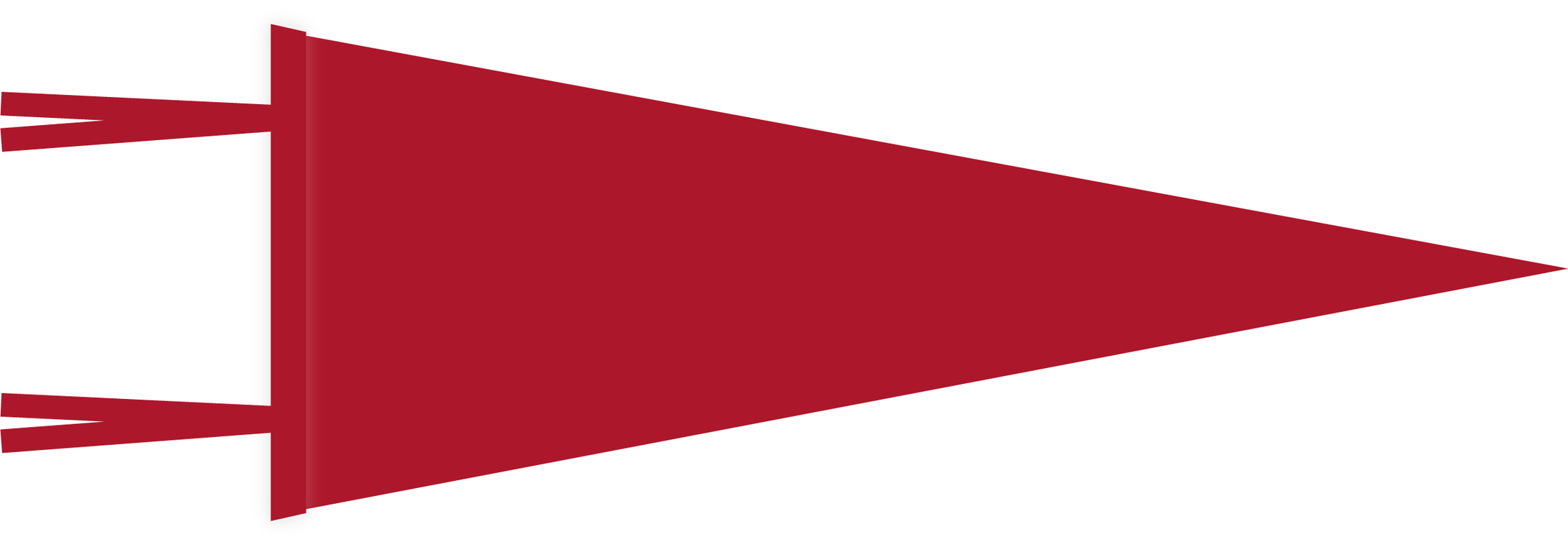 Red Blank Pennant Flag